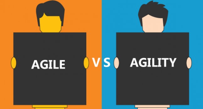 Agile methodologies against “Agile”